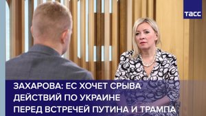 Захарова: ЕС хочет срыва действий по Украине перед встречей Путина и Трампа