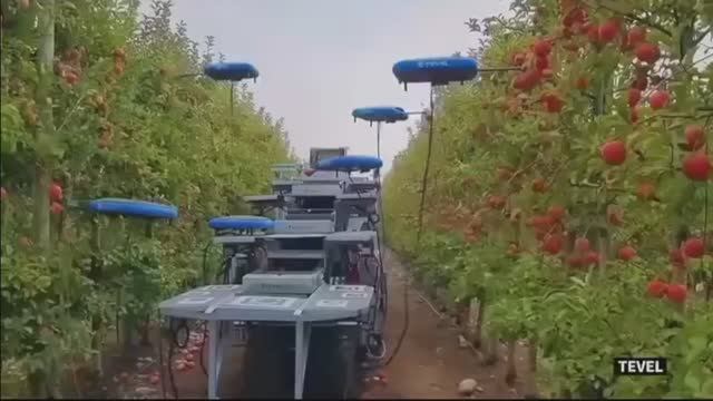 Мой фильм смотреть онлайн