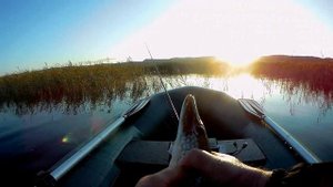 Закрытие сезона открытой воды на красивом озере. Рыбалка с ночевкой на спиннинг. 19-20.09.2025.