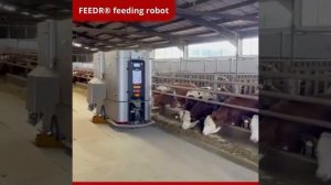 РОБОТ Кормораздатчик для КРС FEEDr - загрузка с сисолов. Загрузка, Смешивание, Взвешивание.