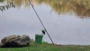 Короткая осенняя рыбалка с бонусом