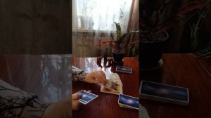 Таро.Будет ли встреча