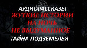 ЖУТКИЕ ИСТОРИИ НА НОЧЬ-ТАЙНА ПОДЗЕМЕЛЬЯ