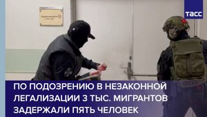 По подозрению в незаконной легализации 3 тыс. мигрантов задержали пять человек