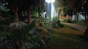 Лисичка на территории санатория