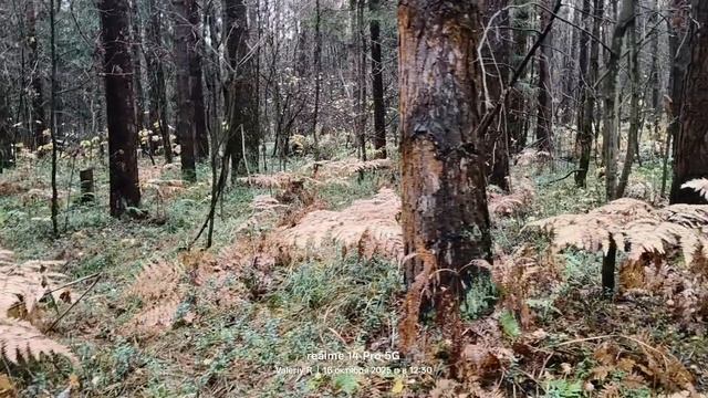 Прогулка #32 16.10.2025 смотреть онлайн