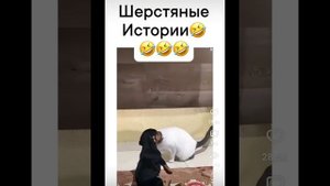 Очень смешная подборка ржачного видео "Смешно до слез"