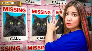 Кто ПОХИТИЛ нашего КОТА ЛАЙКА ?!