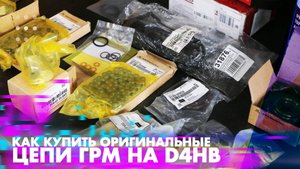Цепь грм D4HB