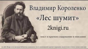 Лес шумит