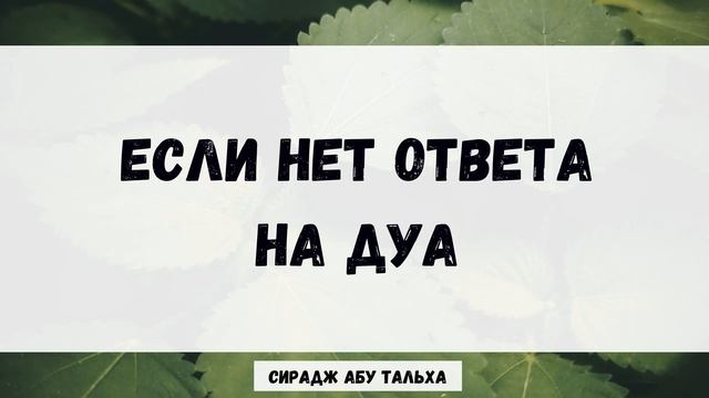 Если нет ответа на ду'а | Сирадж Абу Тальха смотреть онлайн