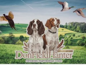 Охота с Эпаньоль Бретон Боня и Иж 27 ем 1с  по фазану