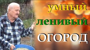 Ленивый огород. Видео про человека, который научил меня не копать на огороде и организовать его