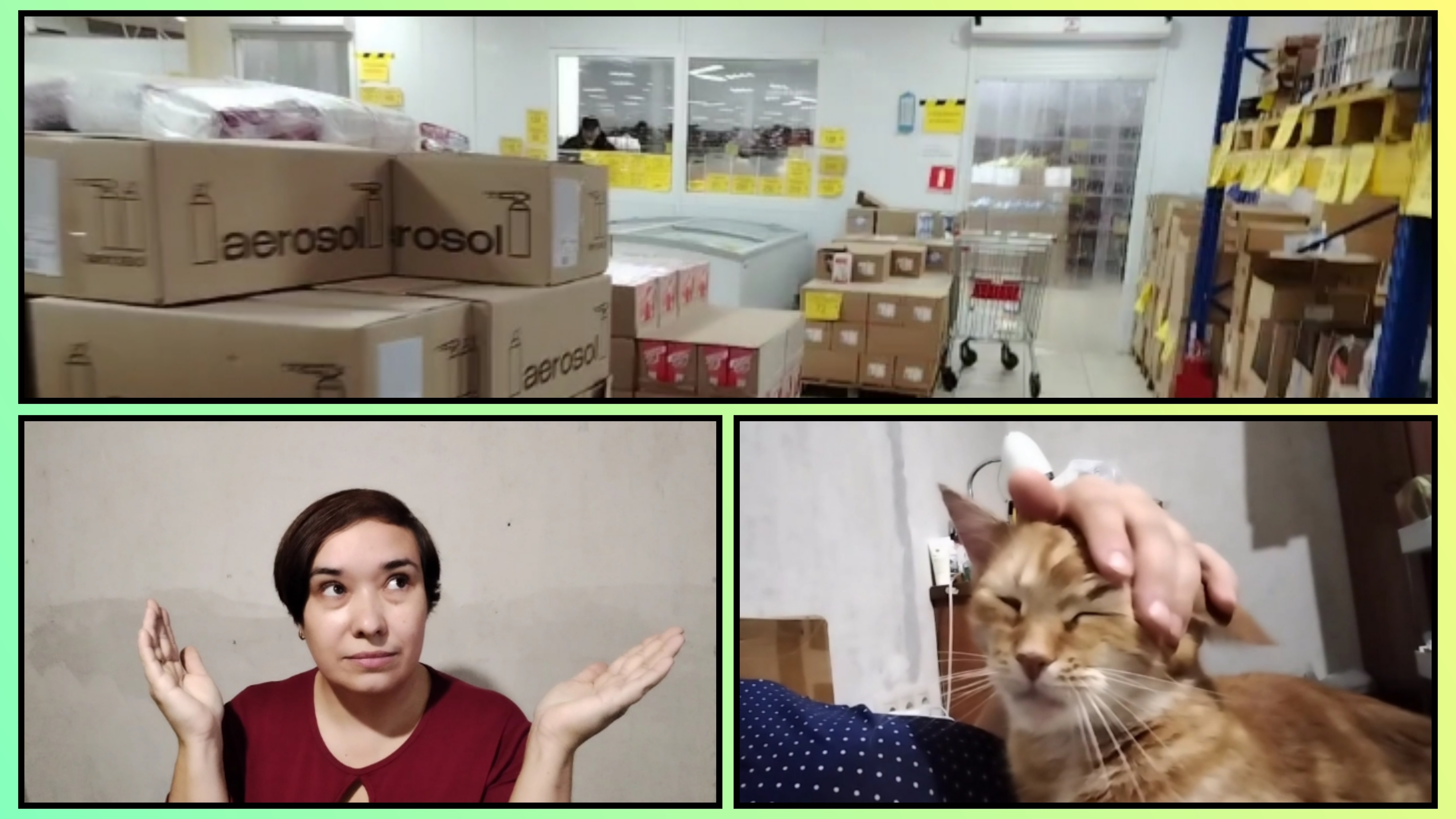 45/2025 РЕЛАКС С АЛИСОЙ, ЗАШЛА В СВЕТОФОР, ЧТО КУПИЛА, РАЗГОВОР ПО ДУШАМ