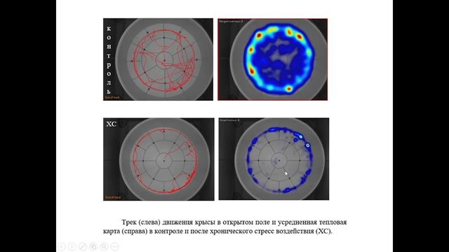 ЛК2 Дополнительная часть