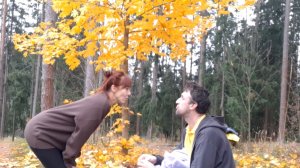 Осенняя прогнулся в разноцветном лесу