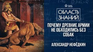 Боевые собаки в древности. Лекция историка Александра Нефёдкина