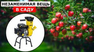 Бензиновый измельчитель-шредер Champion SC2818