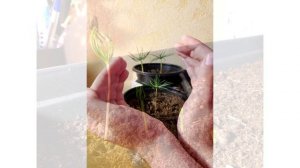 Наши достижения. Выпуск №3 2025