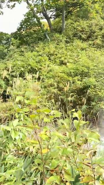 Полёт над горячим потоком