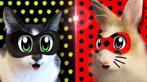 ЛЕЖИ БАФ И СУПЕР КОТ МАЛЫШ СПАСАЮТ ДЕНЬ РОЖДЕНИЕ! [2019]