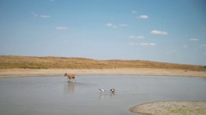 Приоткрывая заповедные двери… Возмутители спокойствия