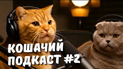 Кошачий подкаст 2. Владельцам котов не смотреть