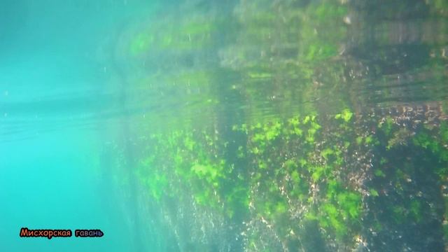 Крым дайвинг Гурзуф. Каменный окунь, губаны, кефаль, крабы, зеленушуи и другие зверушки 🍎 #searuss