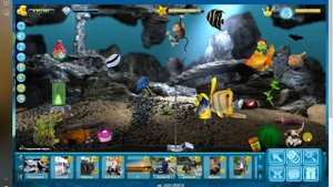 Игровой аквариум# 5. День# 448. Созерцание