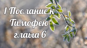 1 послание к Тимофею глава 6