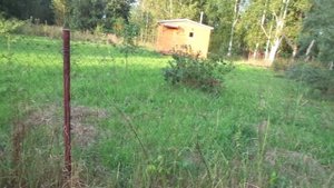 Хожу брожу и вагон нахожу и грибы не нахожу.