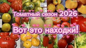 Томаты.сезон 2026. Нашла такие крутые сорта!