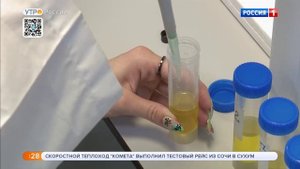 Учёные Губкинского университета создали метод экспресс-анализа масла