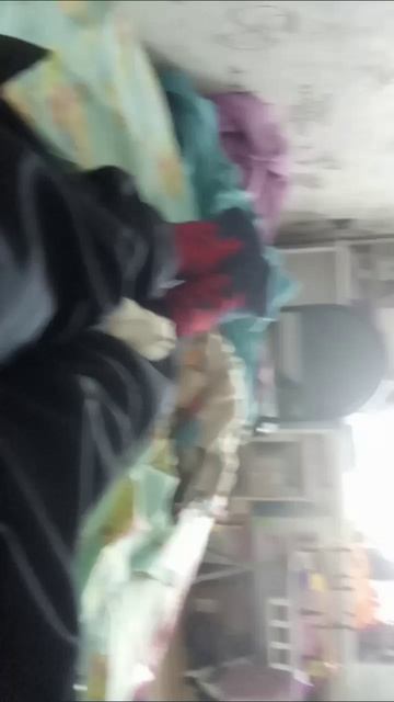 история хамстера