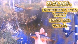 ФОРЕЛЬ. ПУТЕШЕСТВИЕ К РУЧЬЮ "КУНТИК". ПЕРВЫЙ ДЕНЬ. ЧАСТЬ 3. #форель #recommended #fishing #рыбалка