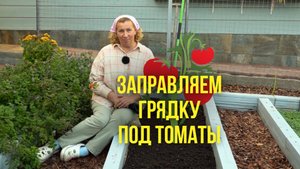 Заправляем грядку под томаты