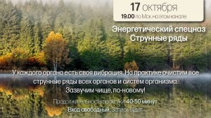 Струнные ряды практика