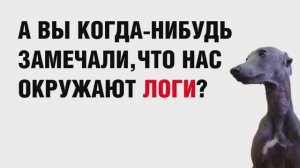Нас окружают ЛОГИ! Вы знали?
