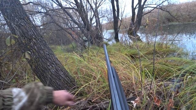 Охота на утку в октябре. смотреть онлайн