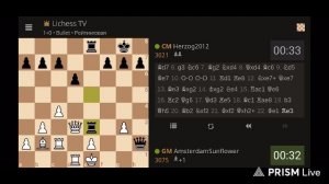 Шахматы на Lichess