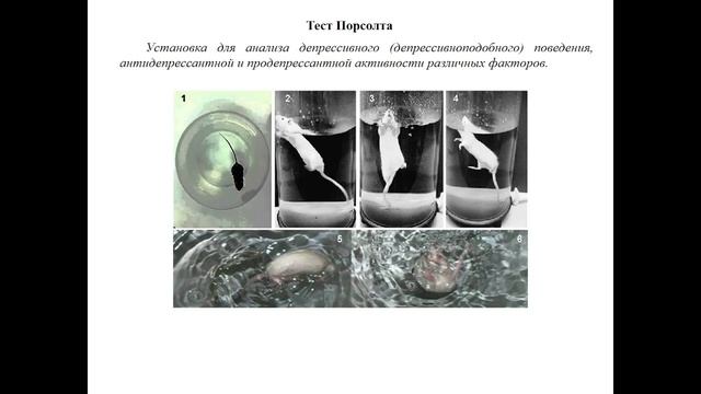 ЛК2 Основная часть 3