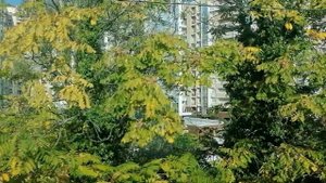 В поезде из Сочи в начале октября 2025