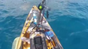 🚤 Тигровая акула напала на рыбака на каяке у берегов Гавайев.