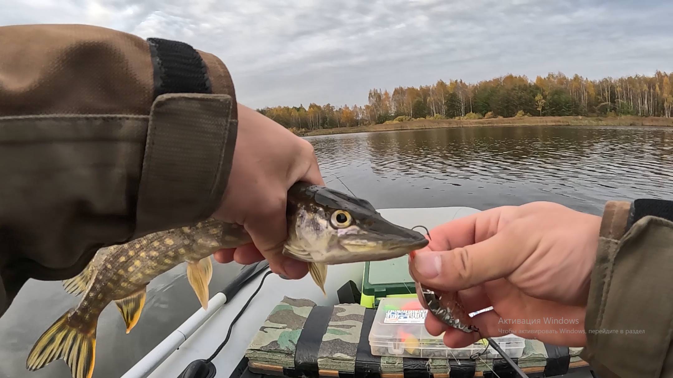 Щука на спиннинг  в октябре с лодки