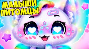 ❤️ПУШИСТИКИ МИЛАШКИ❤️Новый питомец?☺️флавсис