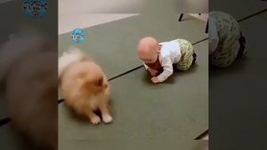 Ну что ты, малыш, давай научу тебя ползать?