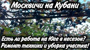 Ейск! Сезон закончился, а работа есть! В ремонте техника и уборка участка! Без обеда и выходных! 💪