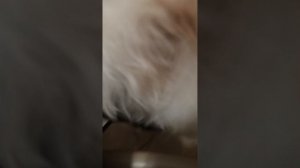 1000155419.mp4