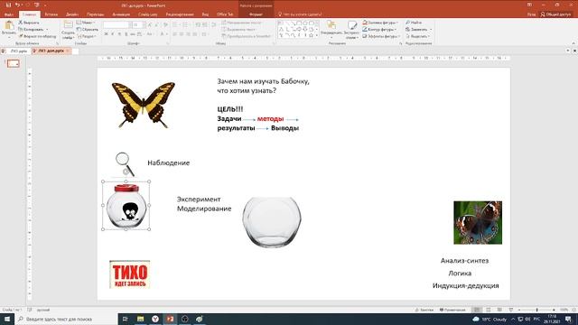 ЦК-ЛК1-Бабочка