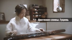 Игра на Гуцине, «Цветение сливы», традиционная китайская мелодия